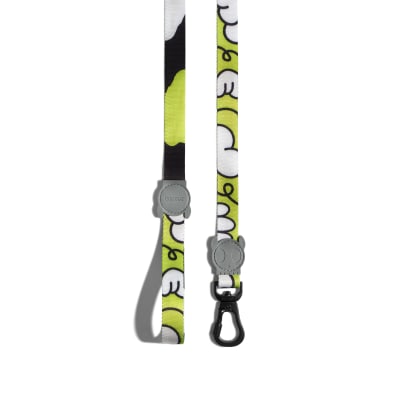 zeedog smash trailla