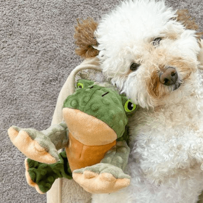 tall tails sapo con sonido animado