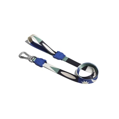 zeedog leash tarot