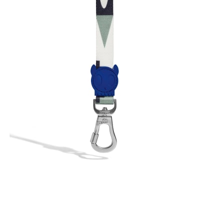 zeedog leash tarot