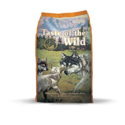 tow high praire bisonte puppy