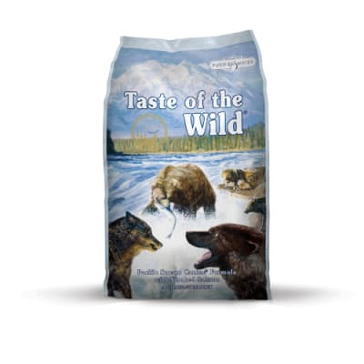 tow pacific stream salmon adulto