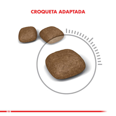royal canin urinary care gato