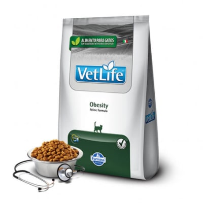 vet life obesity gato