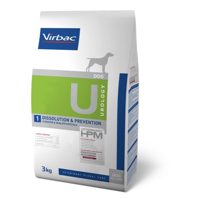 hpm urology perro