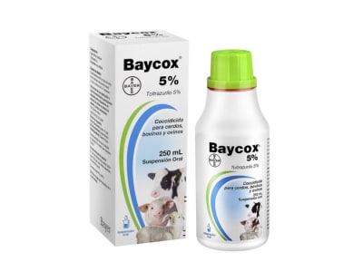 Baycox