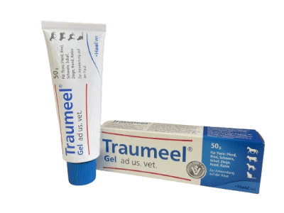 heel traumeel gel