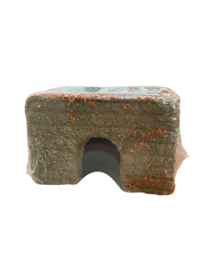 mp casa de timothy c/ zanahoria