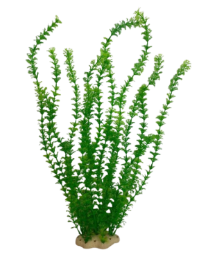 mp deco acua planta