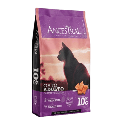 ancestral gato adulto