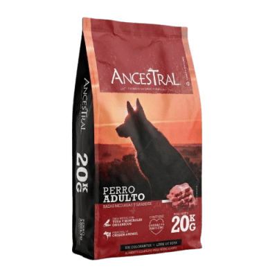 ancestral adulto