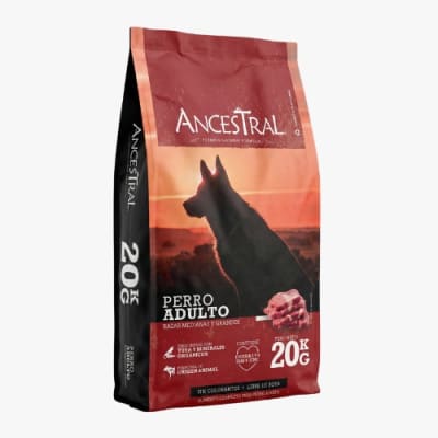 ancestral adulto