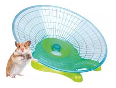 petincare disco para correr