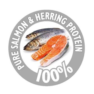 brit care grain free mini yorki