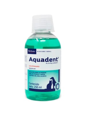 aquadent