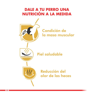 royal canin bulldog frances