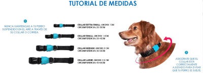 zeedog volt collar