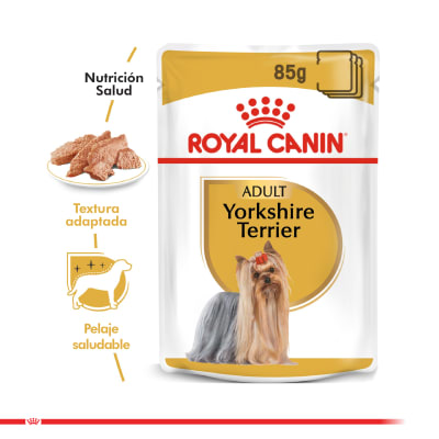 royal canin yorkshire adulto
