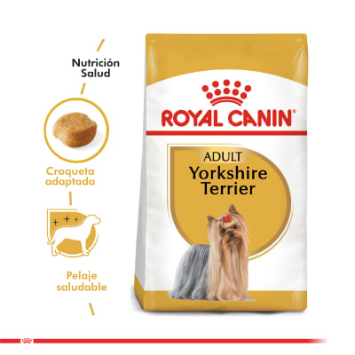 royal canin yorkshire adulto