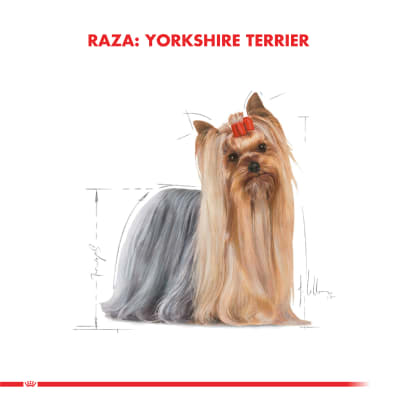 royal canin yorkshire adulto
