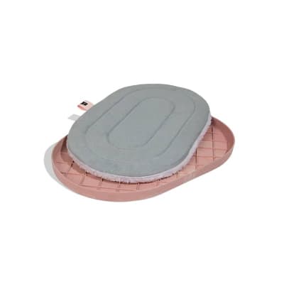 zeecat cama kombucha