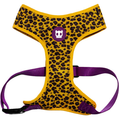 zeedog honey arnes mesh