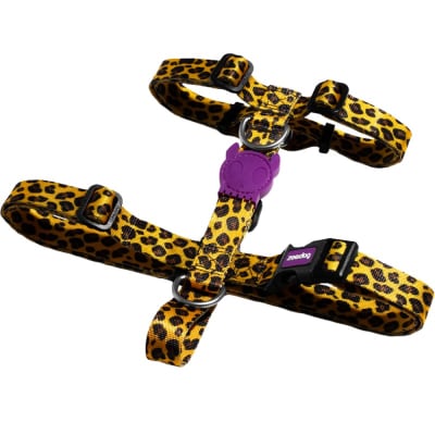 zeedog honey arnes H