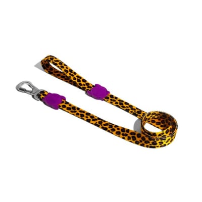 zeedog honey trailla