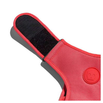 zeedog neon coral arnes mesh velcro