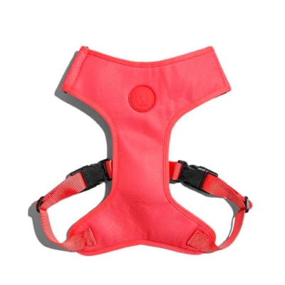 zeedog neon coral arnes mesh velcro