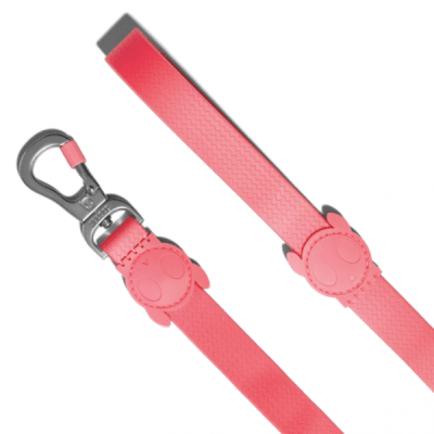 zeedog neopro pink trailla