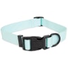 aspen pet maxglow collar azul1