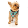 fuzzy arnes summer puch1