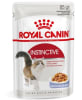 royal canin instinctive pouch1