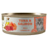 amity atun/salmon kitten1