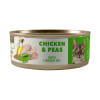 amity pollo/guisante gato adulto1