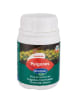 ANASAC INSECTICIDA PULGONES1