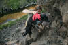 ruffwear web master m2