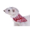 bandana marshall1