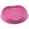beco bowl gato3