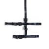zeecat MARVEL black phanter arnes+trailla2