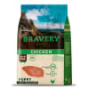 bravery pollo puppy lym breed1