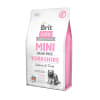 brit care grain free mini yorki2