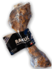 rahue femur cerdo1