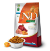 n&d pumpkin gato castrado1