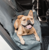gfpet cubierta asiento1