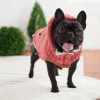 gfpet parka super puff pink1