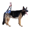walkinpets arnes combo trasero1