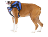 walkinpets arnes combo delantero2