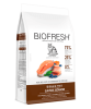 biofresh gato senior1